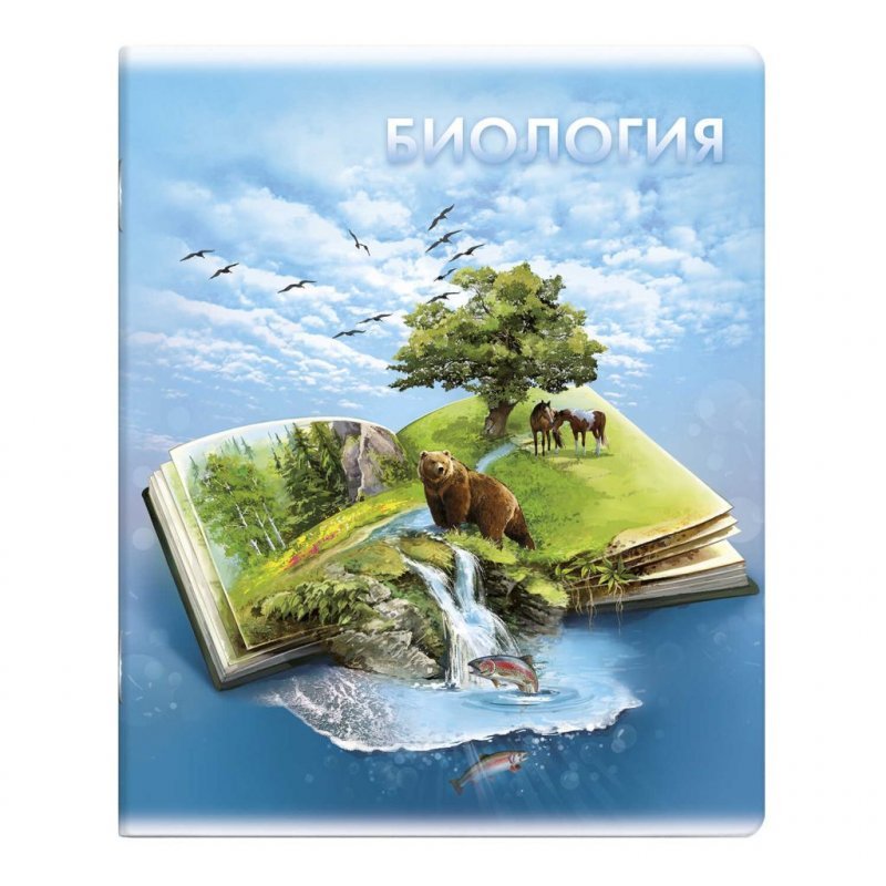 Тетрадь 48л Биология Книга знаний
