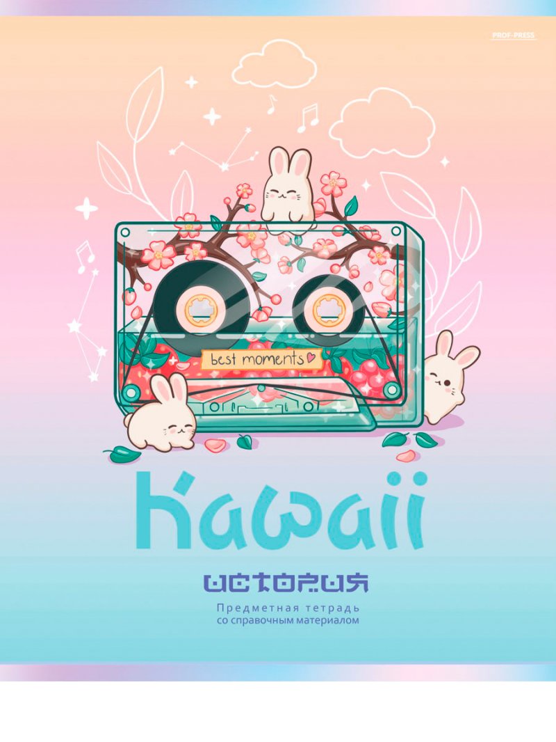 Тетрадь 48л История Kawaii клетка