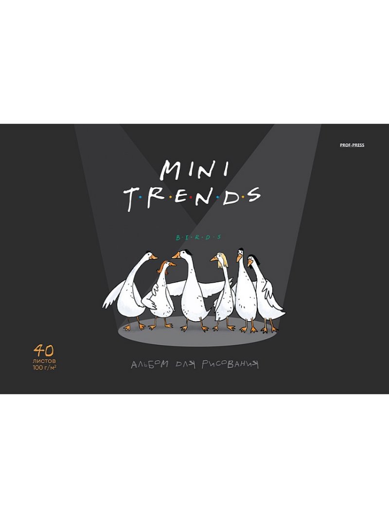 Альбом для рисования А4 40л Mini Friends гребень